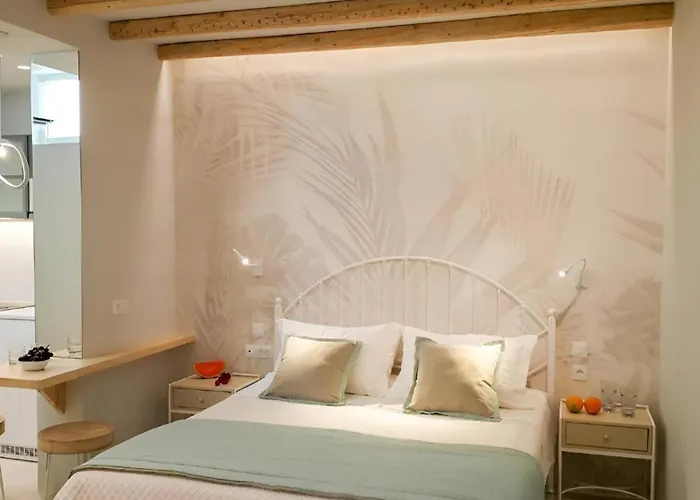 公寓式酒店 Antony (adults Only) Naxos City